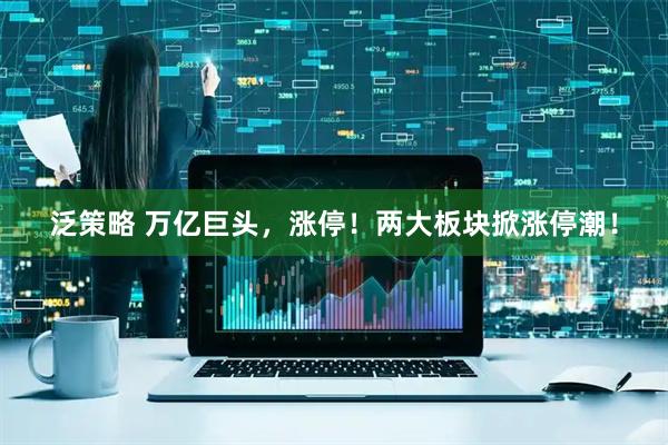 泛策略 万亿巨头，涨停！两大板块掀涨停潮！