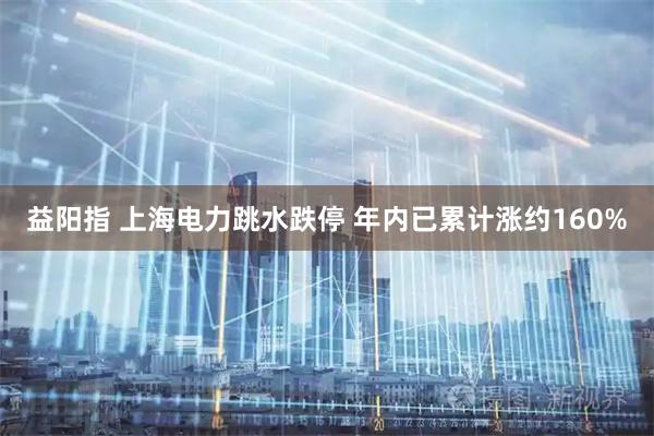 益阳指 上海电力跳水跌停 年内已累计涨约160%