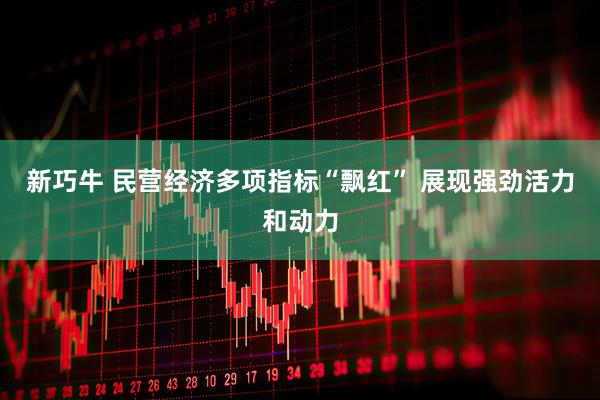 新巧牛 民营经济多项指标“飘红” 展现强劲活力和动力