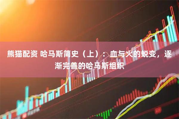 熊猫配资 哈马斯简史（上）：血与火的蜕变，逐渐完善的哈马斯组织