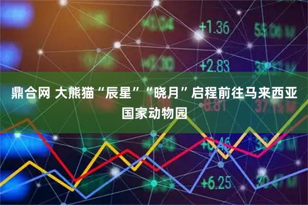 鼎合网 大熊猫“辰星”“晓月”启程前往马来西亚国家动物园