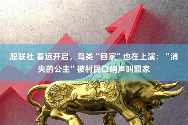 股联社 春运开启，鸟类“回家”也在上演：“消失的公主”被村民口哨声叫回家