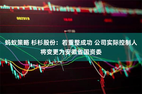 蚂蚁策略 杉杉股份：若重整成功 公司实际控制人将变更为安徽省国资委