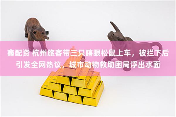 鑫配资 杭州旅客带三只瞎眼松鼠上车，被拦下后引发全网热议，城市动物救助困局浮出水面