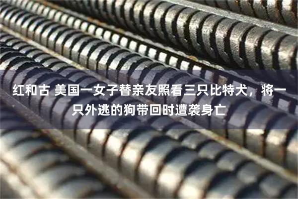 红和古 美国一女子替亲友照看三只比特犬，将一只外逃的狗带回时遭袭身亡