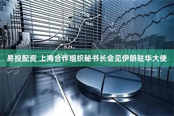 易投配资 上海合作组织秘书长会见伊朗驻华大使