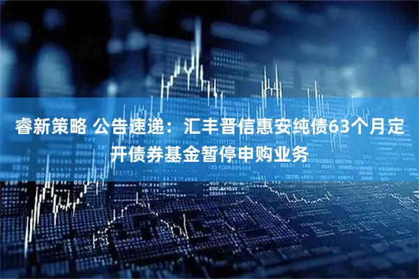 睿新策略 公告速递：汇丰晋信惠安纯债63个月定开债券基金暂停申购业务